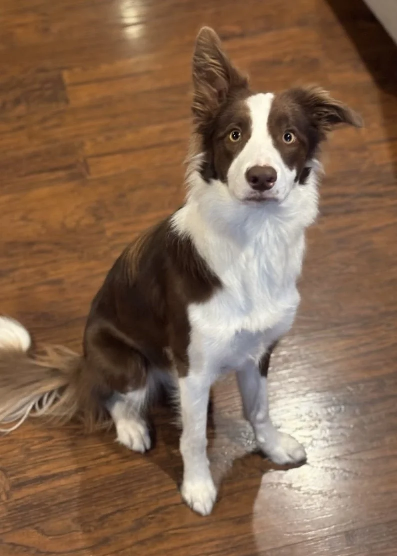 Libby at 1 years old