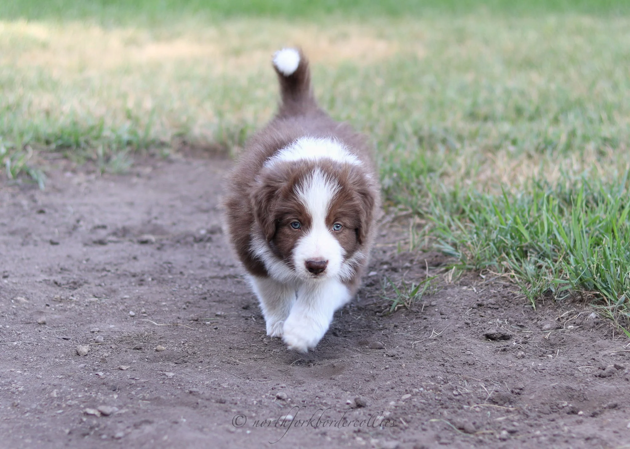 6 weeks old
