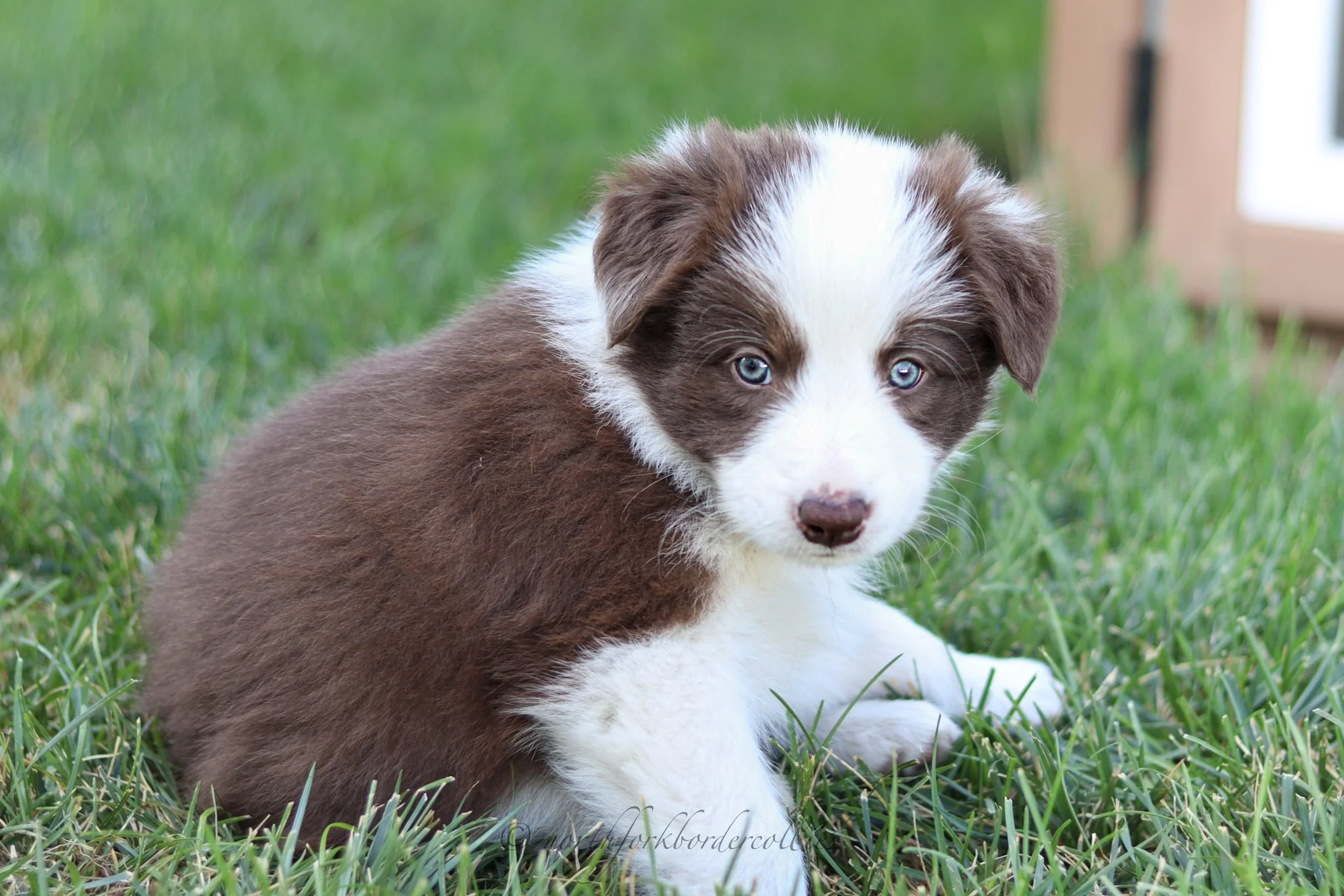 6 weeks old
