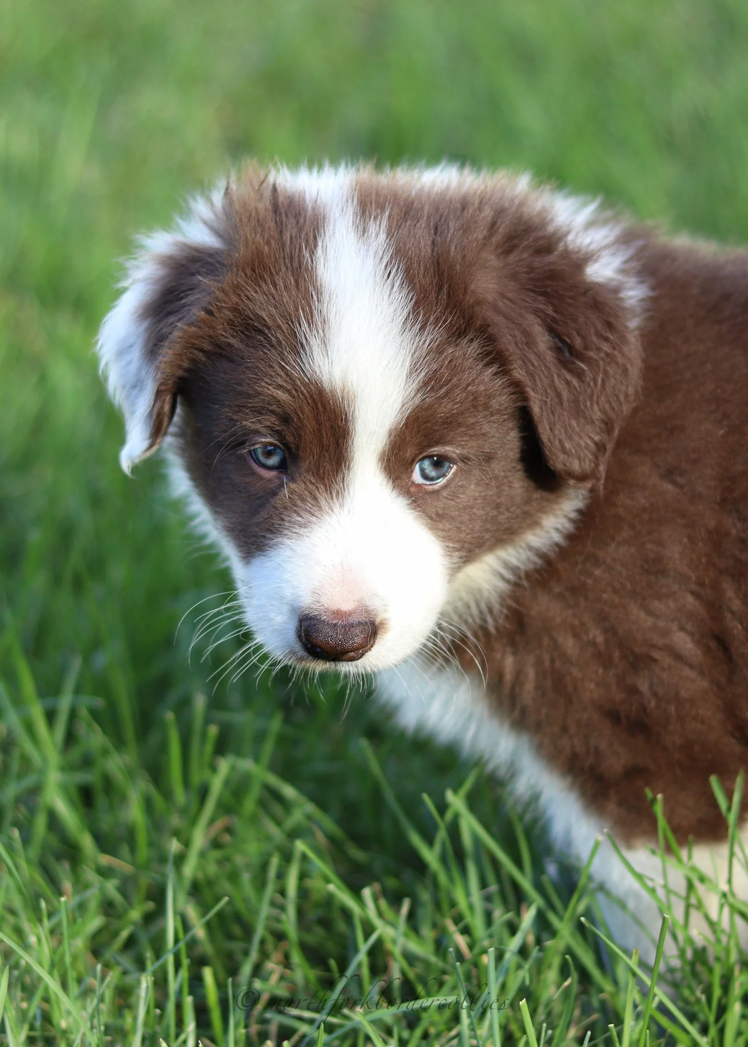 6 weeks old