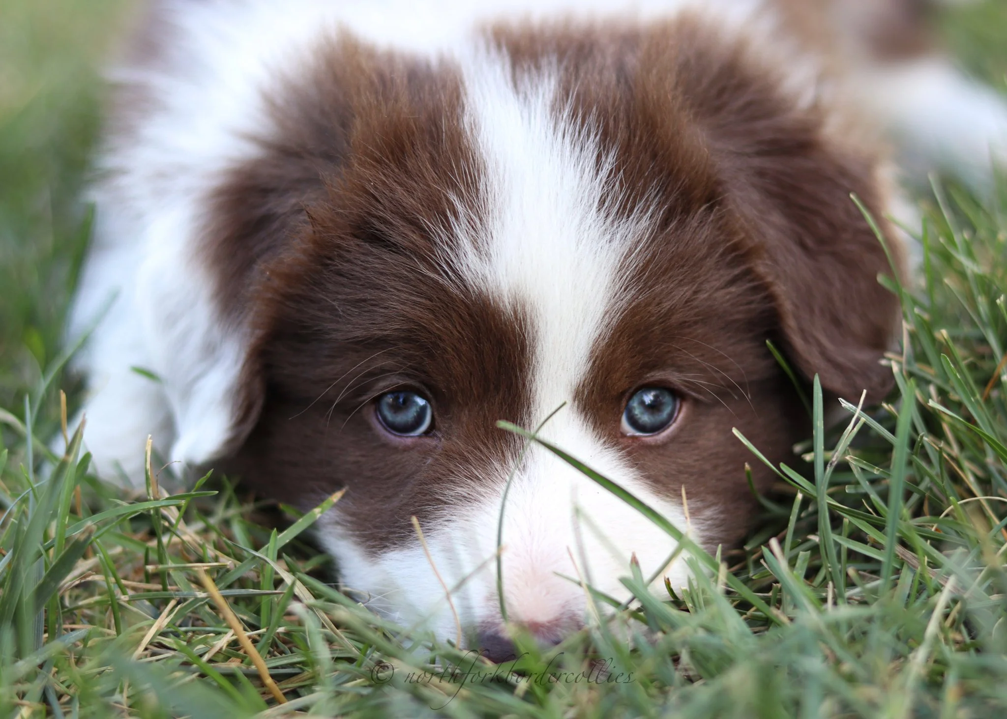 6 weeks old