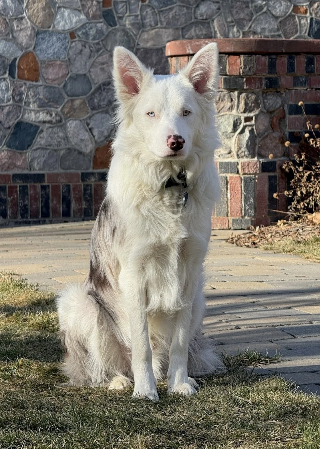Aikāne at 1 years old