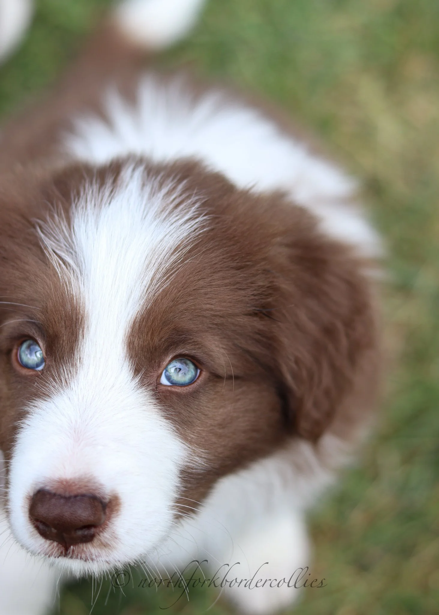 7 weeks old