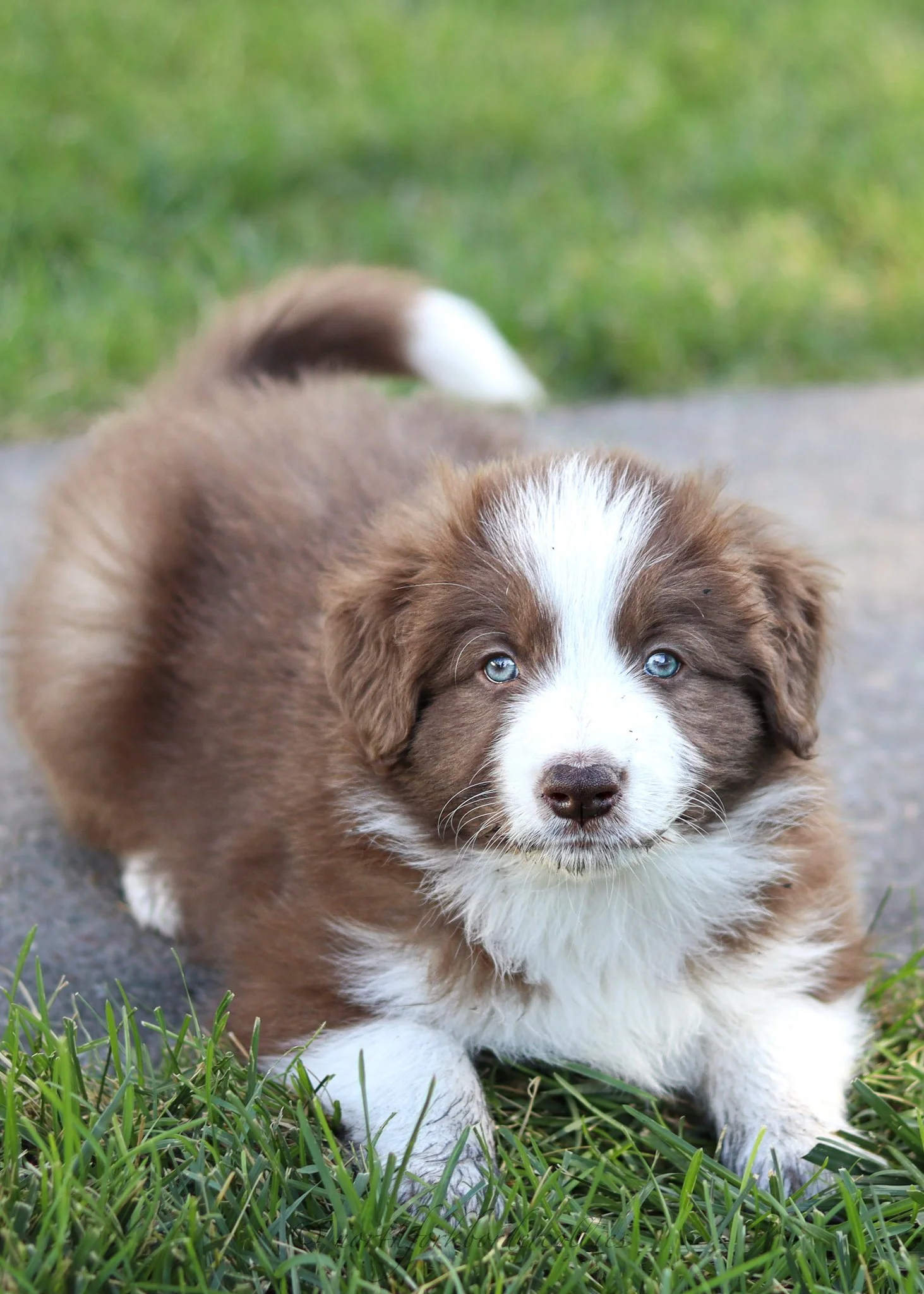 6 weeks old