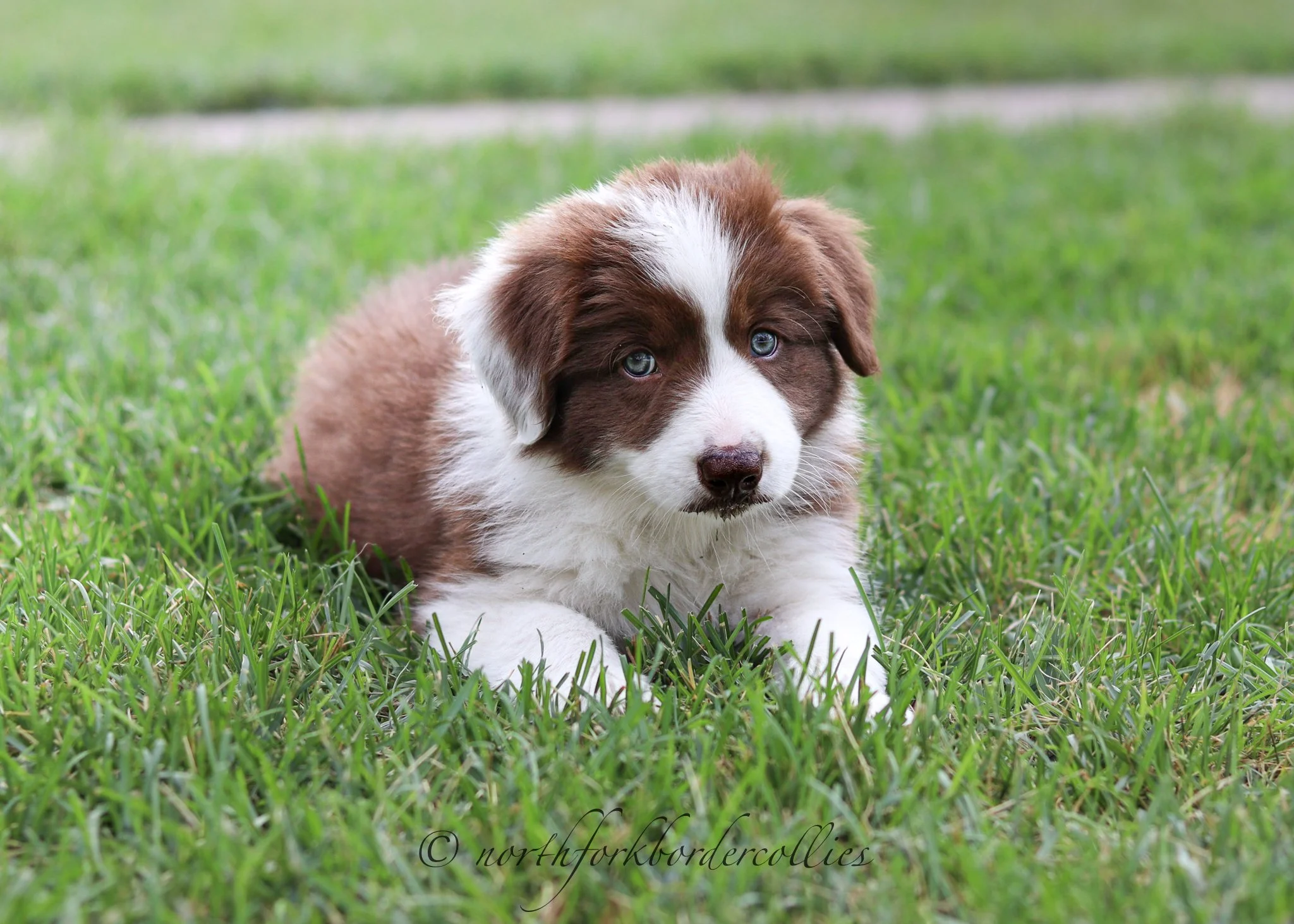 7 weeks old