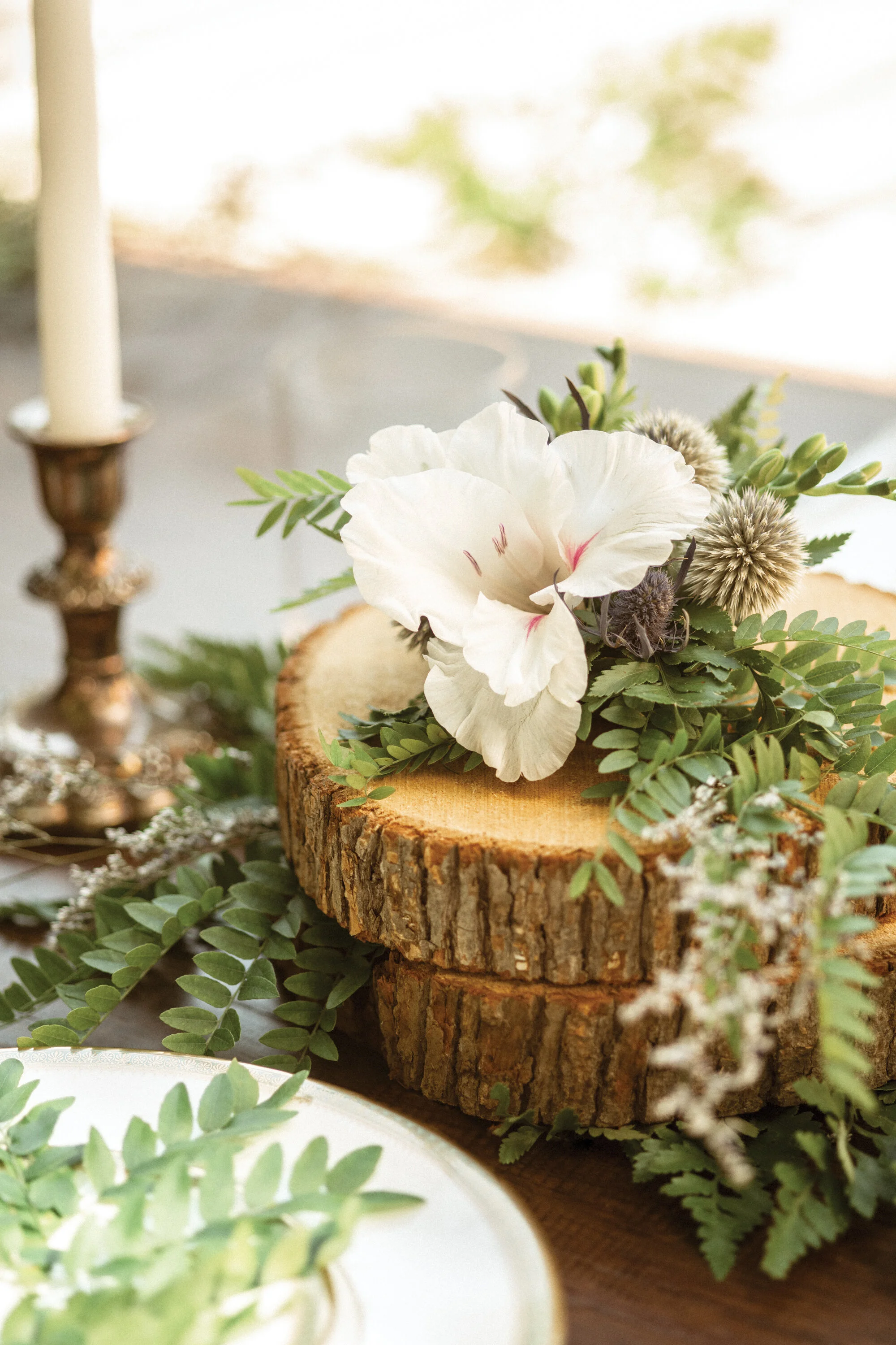 TODAYS_BRIDE_by_jennjevons_lanedorsey-12-website.jpg