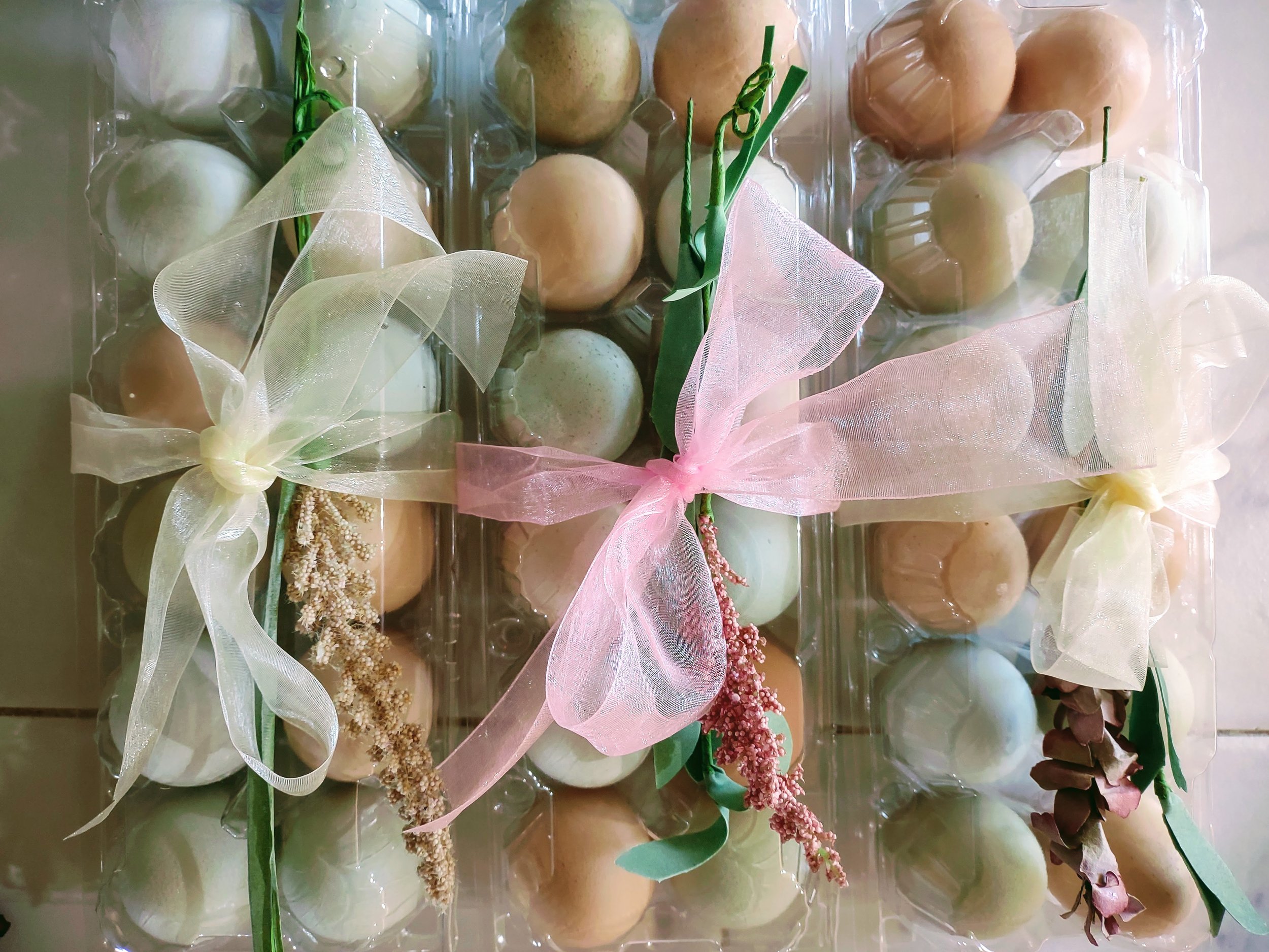 eggs 2.jpg