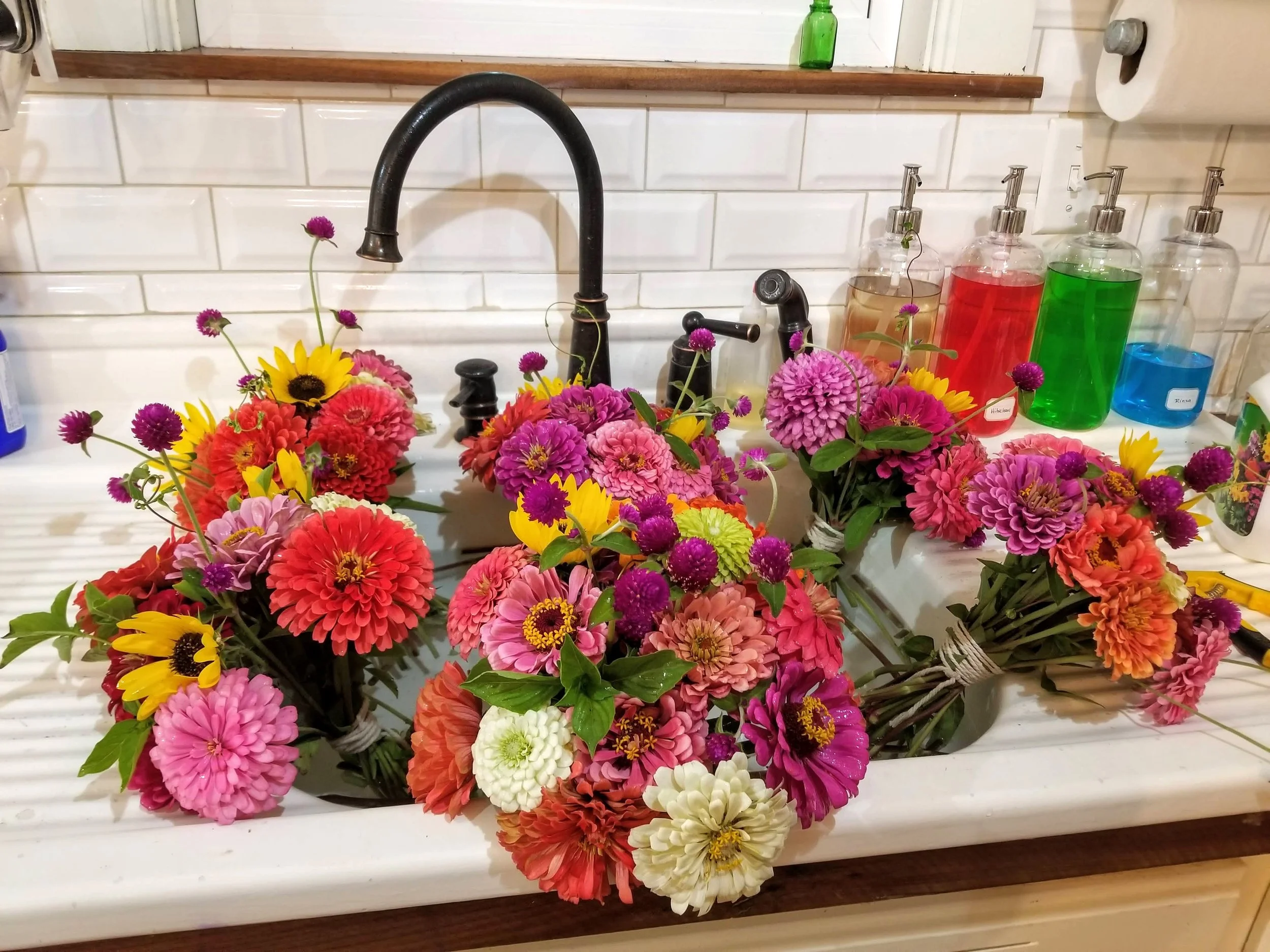 Flowers fall 2021.jpg