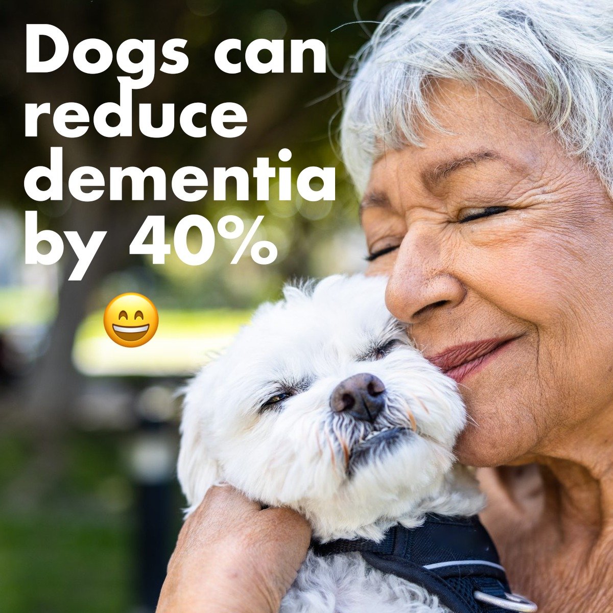 Good news... having a dog reduces your risk of developing dementia by 40%. Whoa!! 😁 

This is based on a new study out of Japan looking at the link between pet ownership and dementia risk among older adults. It involved over 11,000 study participant