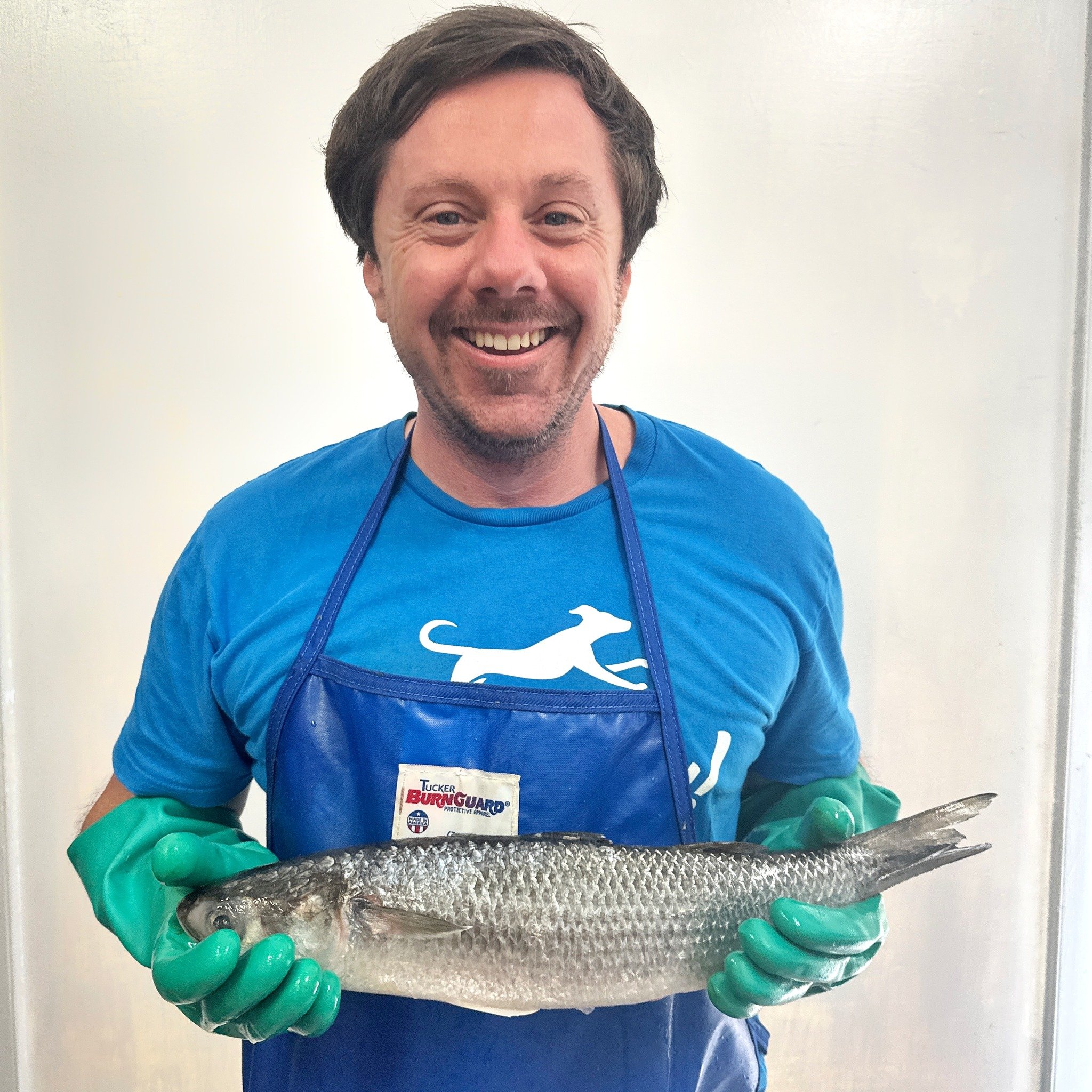 Colder weather means schools of mullet 🐟 

This week's food features beautiful locally-caught QLD grey mullet. It's a great sustainably sourced fish, packed with anti-inflammatory omega-3s. Your pup's coat is about to get seriously shiny!