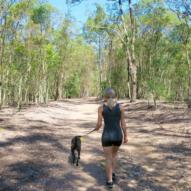 What do you use for tick prevention?

There's no perfect solution. Every option involves a trade off. 

Your vet will be recommending chemical prevention options like Bravecto, NexGard, and Simparica, which belong to the isoxazoline class of drugs. T