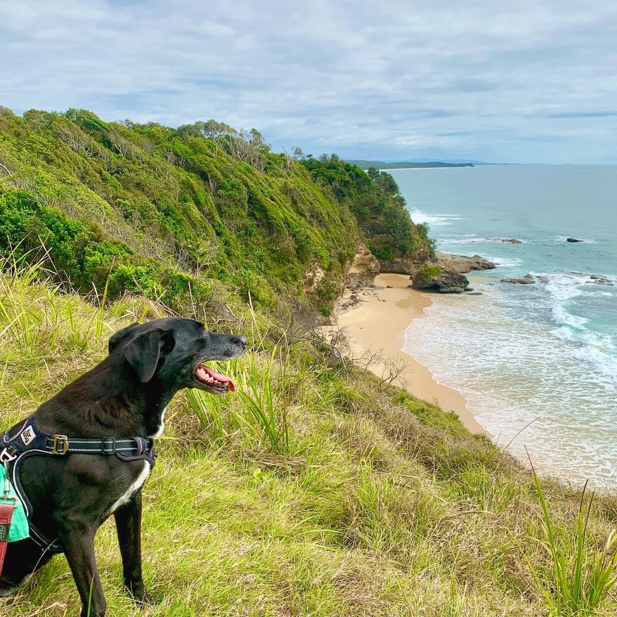 Happy New Year!! 🥳

Deliveries are back next week. How's the holiday serenity!