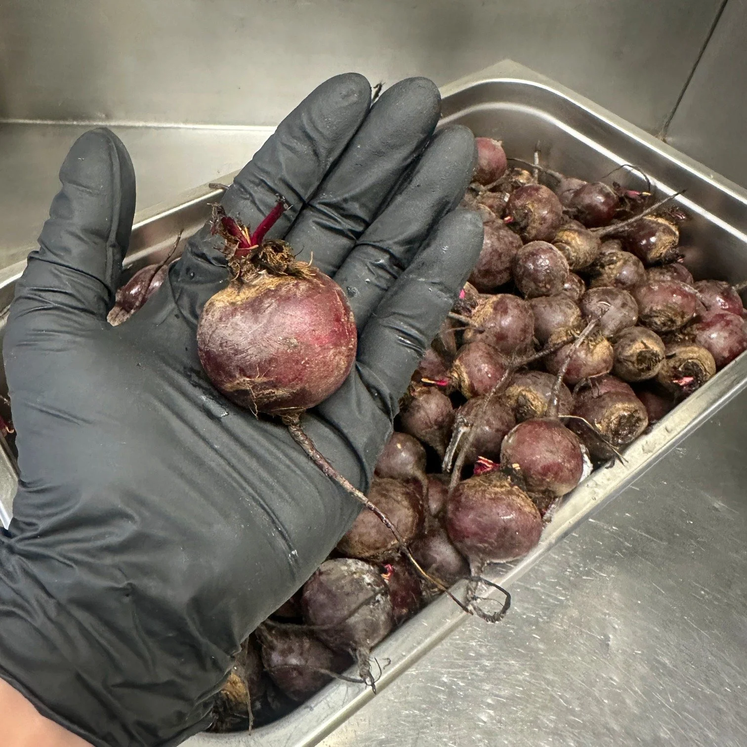 PSA: some of our recipes contain beetroot!

I&rsquo;ve had a couple of panicked phone calls from people concerned that their dog has red or pink wee after eating our food. 

This is because our Kangaroo &amp; Chicken and Buffalo &amp; Lamb recipes co