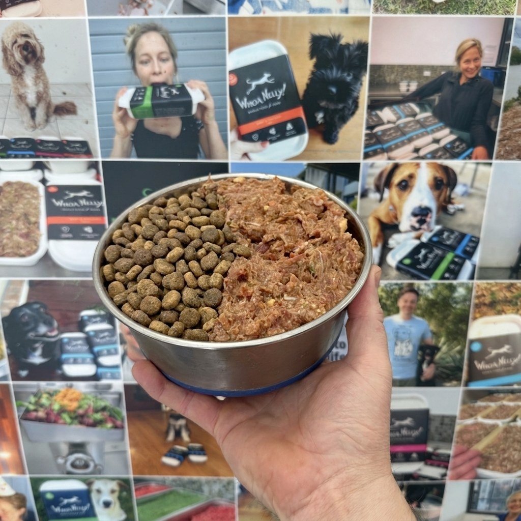 Can you feed raw and kibble together? According to the internet, no!

Word on the street is that raw and kibble require different pH levels in the stomach, and feeding them together causes digestive problems.

Here's what the evidence actually shows: