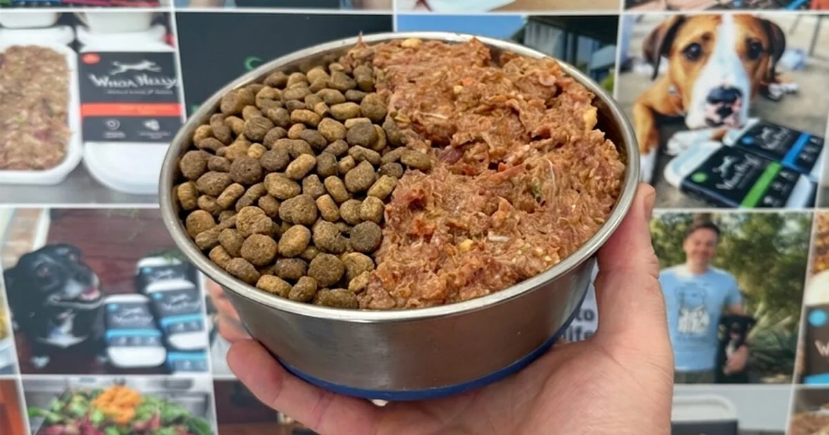 Can You Feed Raw and Kibble Together? Here's what the science says.