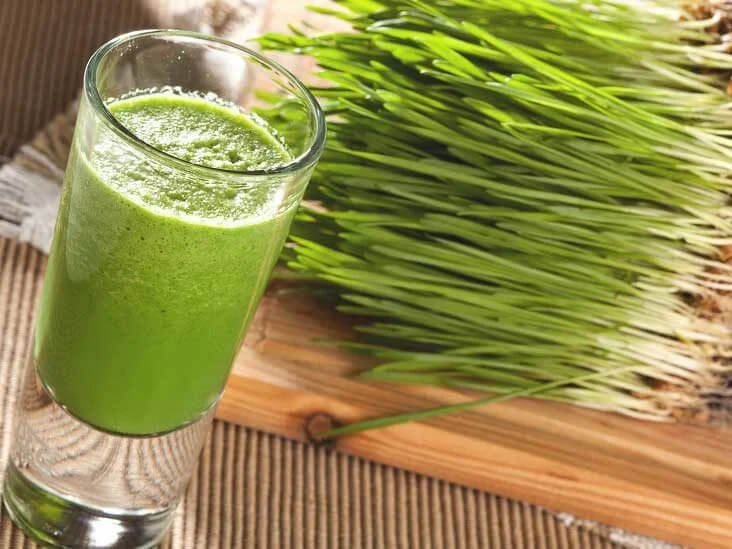 Wheatgrass For Dogs — Whoa Nelly! Raw Dog Food
