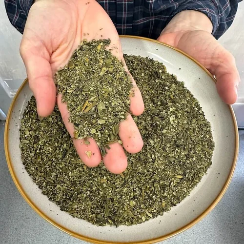 Does Kelp Keep Your Dogs Teeth Clean? — Whoa Nelly! Raw Dog Food