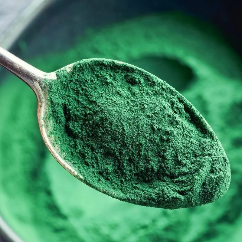 Allergy Dogs — Whoa Nelly! Raw Dog Food