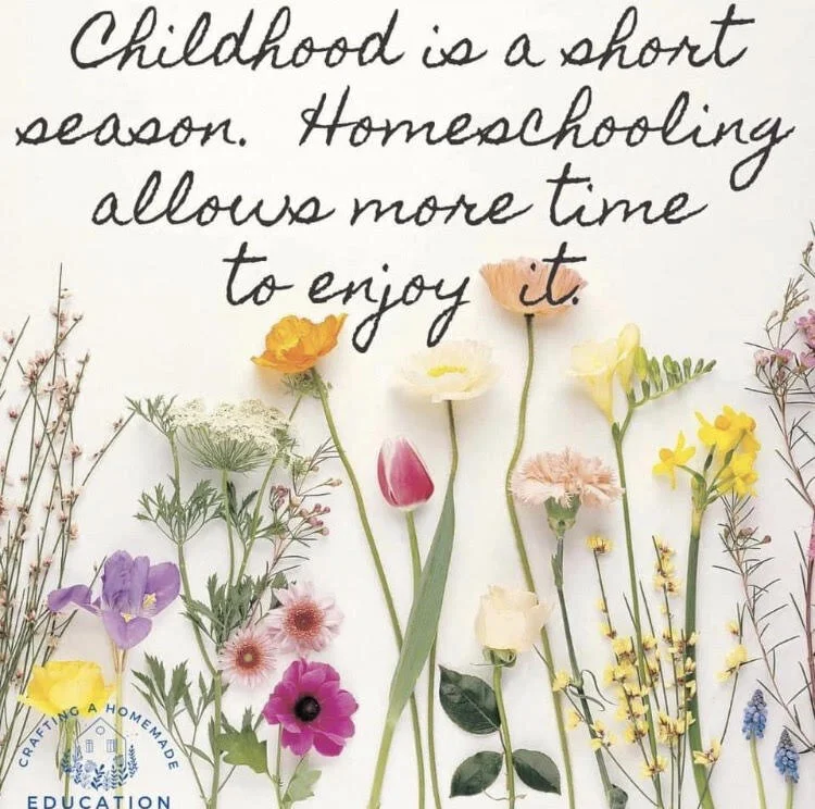 tingle blog homeschooling.jpeg