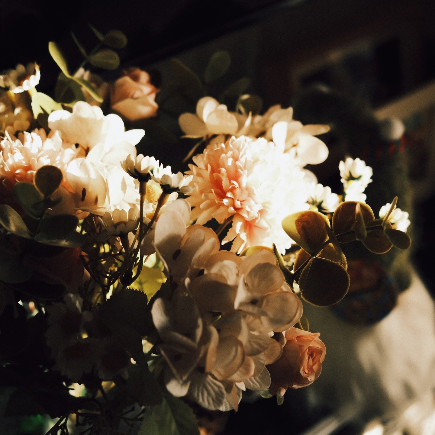 I saw something a while ago that said, &ldquo;analog is the new luxury.&rdquo; I don&rsquo;t know if it&rsquo;s the new year, the new decade I&rsquo;m in, or the season of life. But, it looks like app limits, film cameras, sourdough bread, endless bo