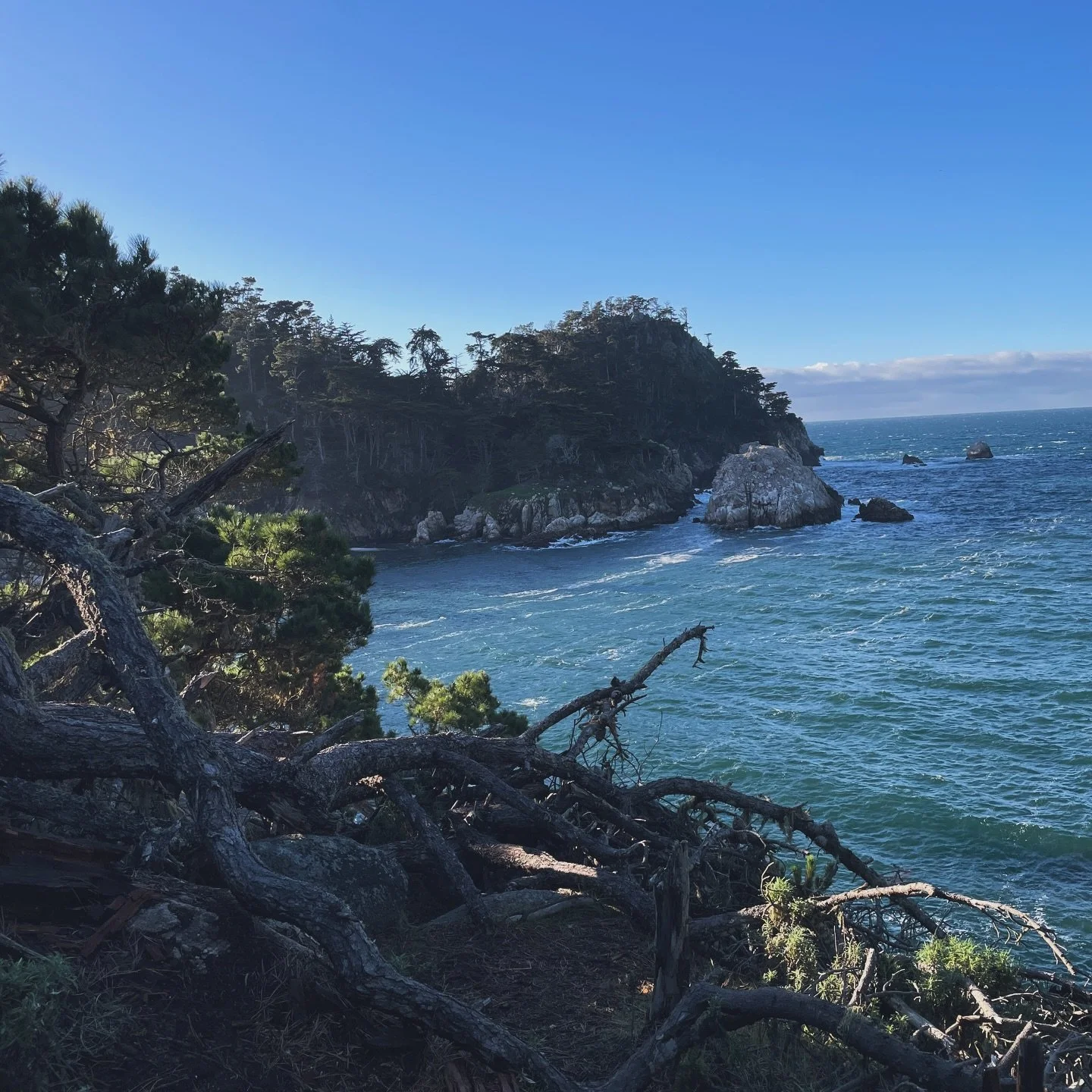 Why are they running up the hill?