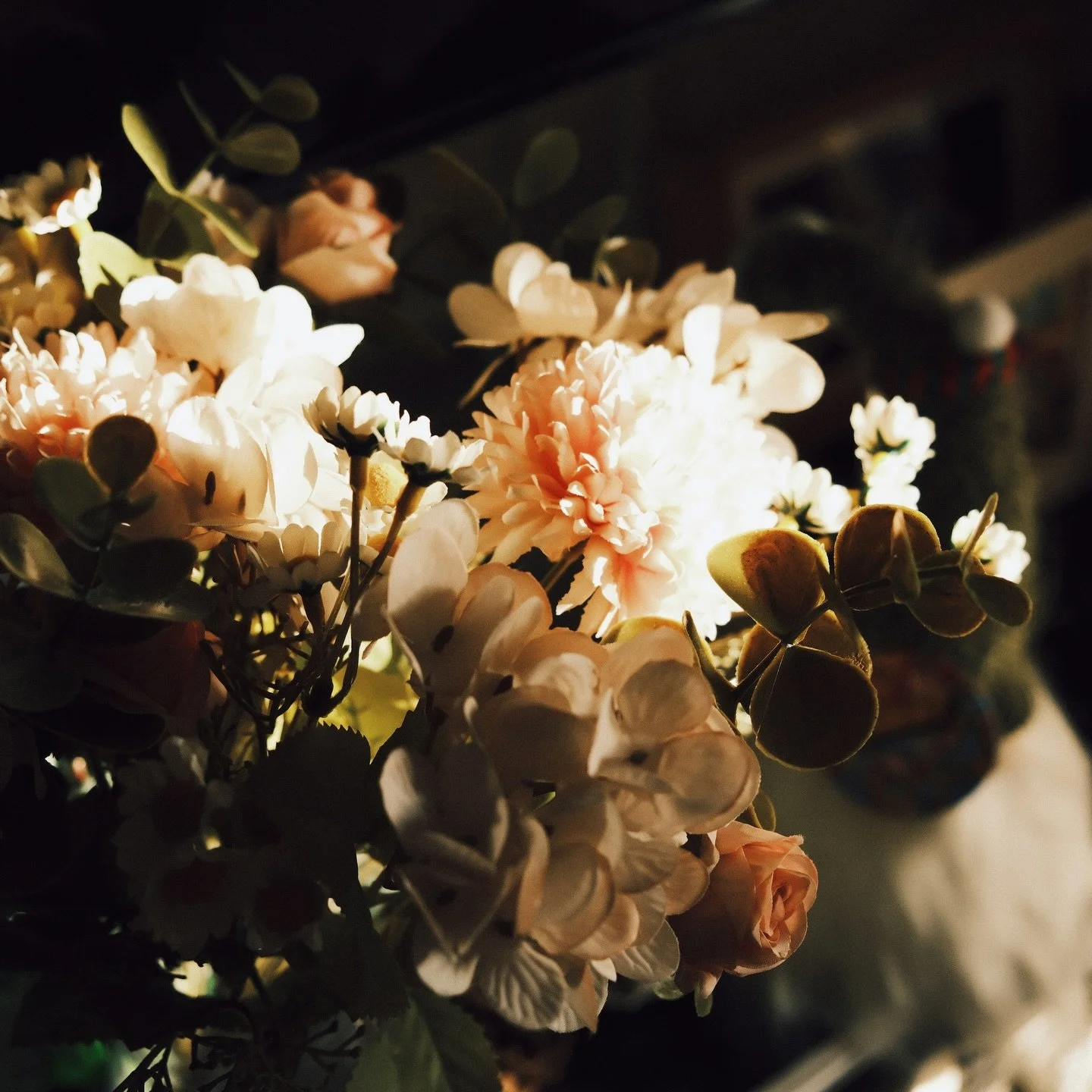 I saw something a while ago that said, &ldquo;analog is the new luxury.&rdquo; I don&rsquo;t know if it&rsquo;s the new year, the new decade I&rsquo;m in, or the season of life. But, it looks like app limits, film cameras, sourdough bread, endless bo