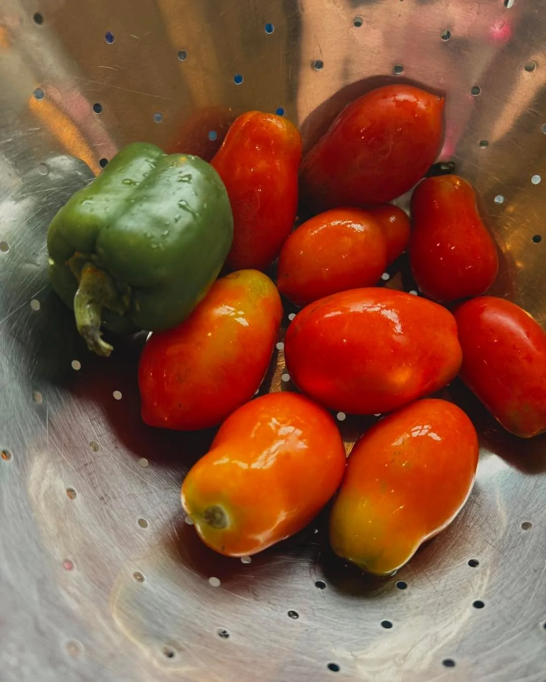 One of my favorite recipes for salsa came from my nieces&rsquo; grandfather. It will always be known as &ldquo;Tom&rsquo;s Salsa&rdquo; in our house. I&rsquo;d share it with you, but he told me no one else could be trusted with this type of secret.
