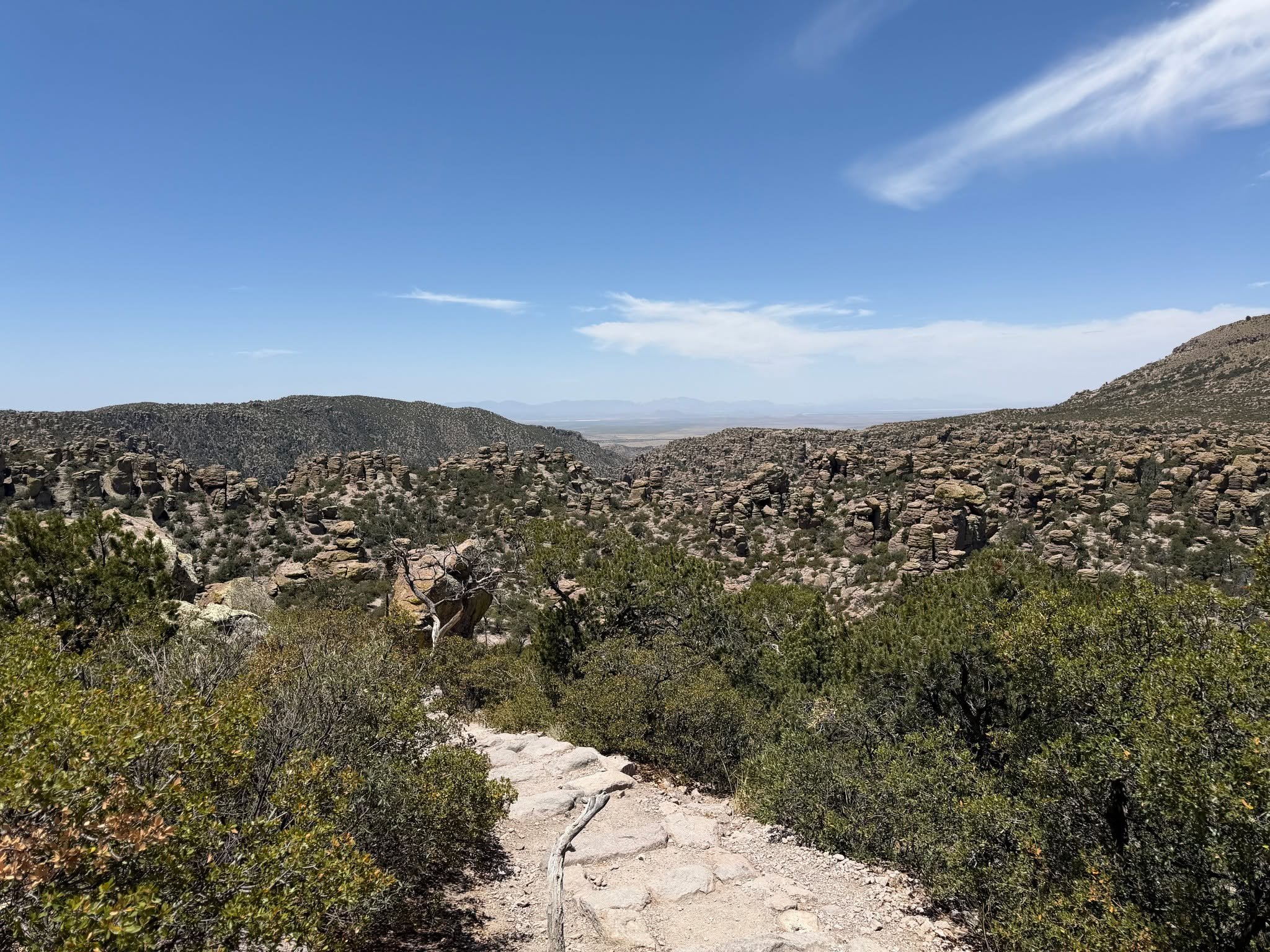 Dreaming of blue skies. Arizona skies, to be exact.