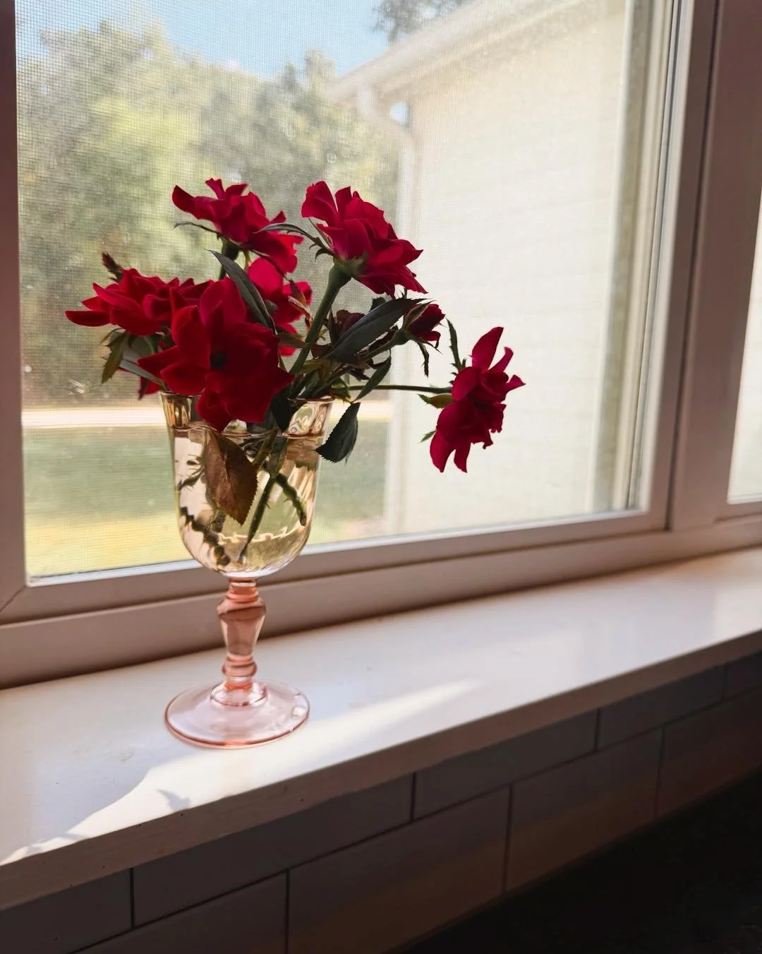 Knockout roses and my grandmother&rsquo;s depression glass. Name a better duo.