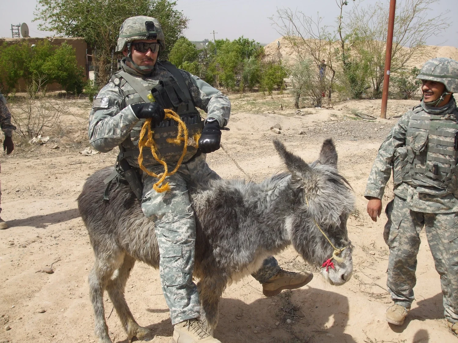 Vets Serving Vets — Harris Vets