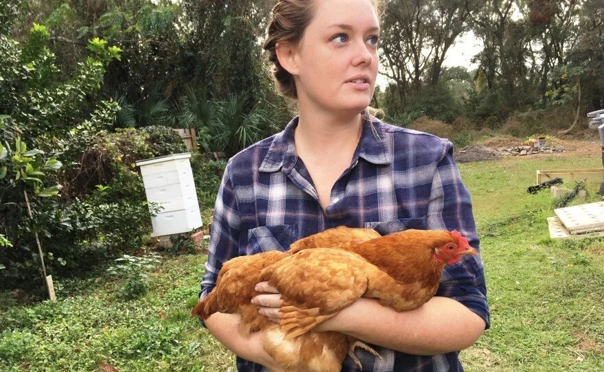 Vets Dig Chicks. Raising Chickens Around Houston [Vet Farm]