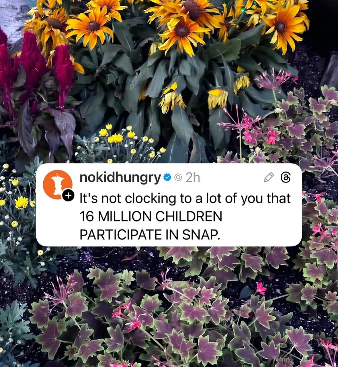 Another &ldquo;SNAP is a lifeline to so many Americans because we allowed poverty wages and the cost of housing to skyrocket and priced Americans out of the American dream and created a lawless billionaire class that prioritizes profit over people&rd