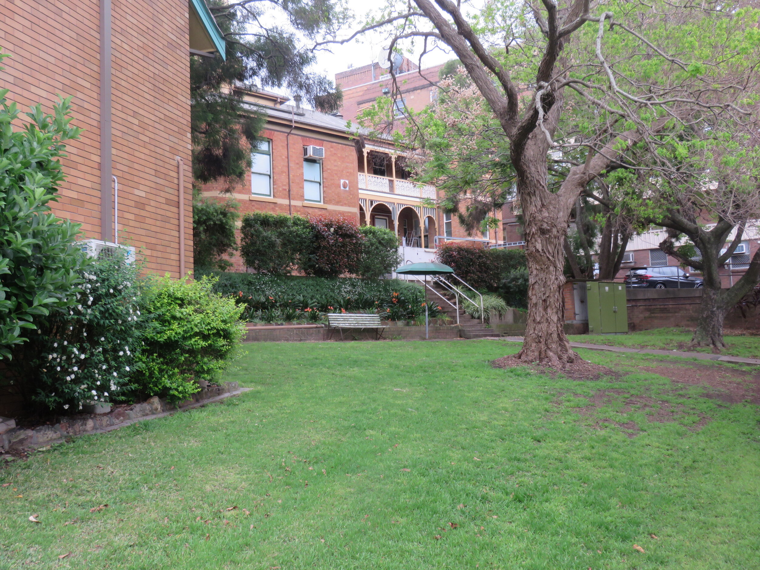  Garden and tree below 1905 building 