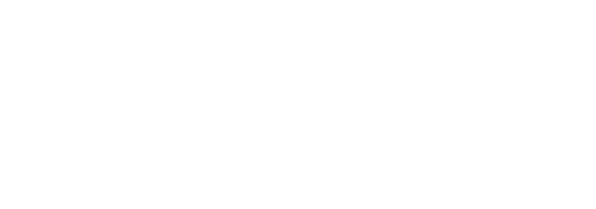 Schwartz Levine Pinkas Stark PLLC