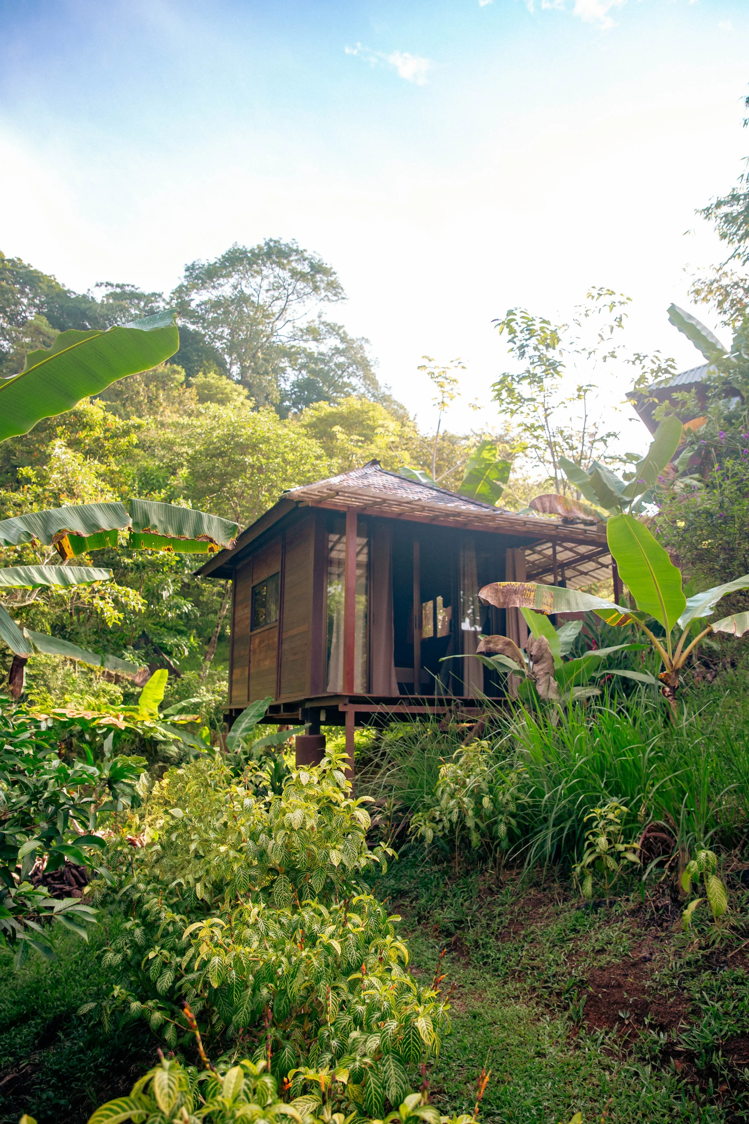 Jungle Cabin 3.jpg