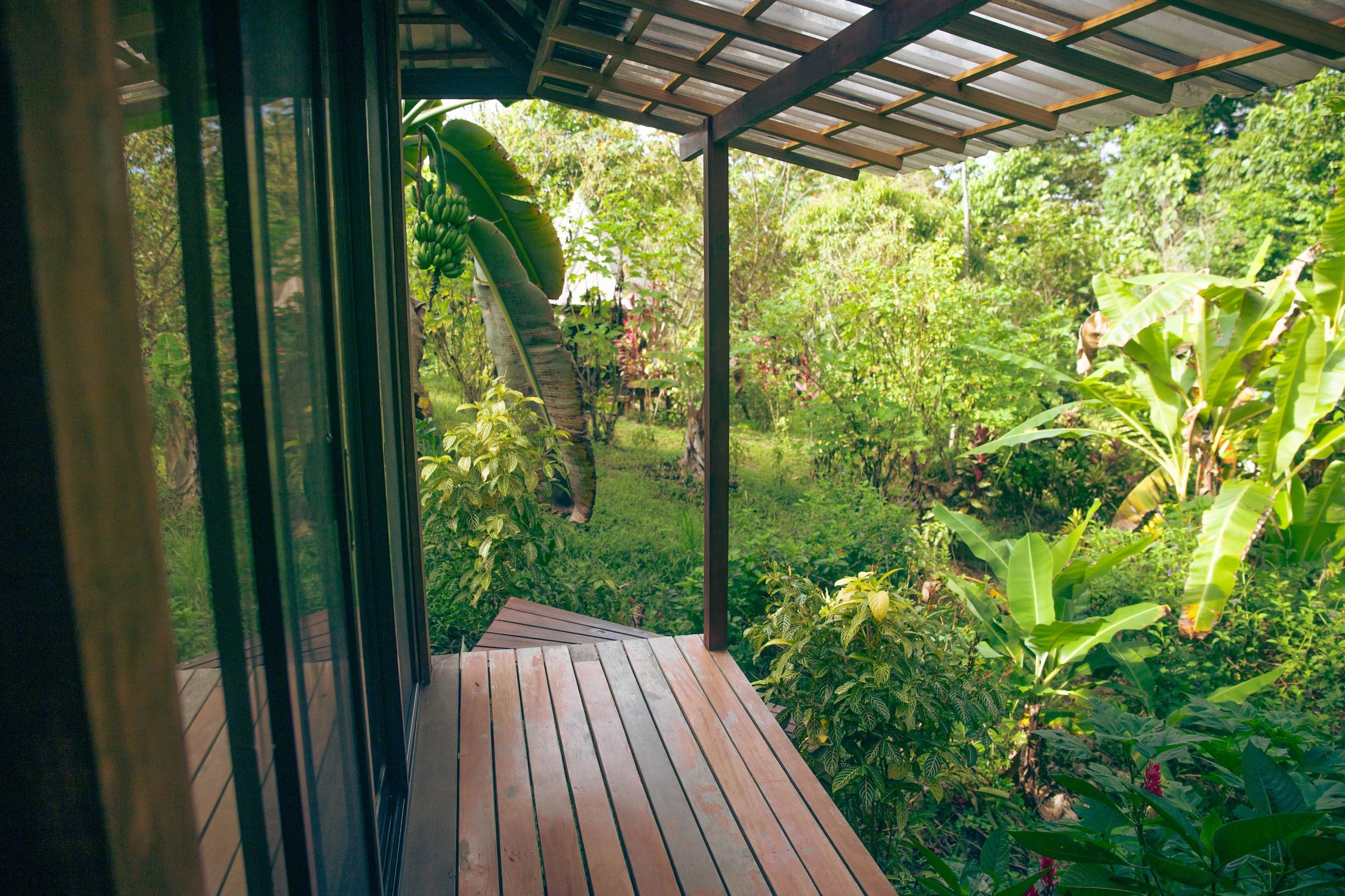 Jungle Cabin 5.jpg