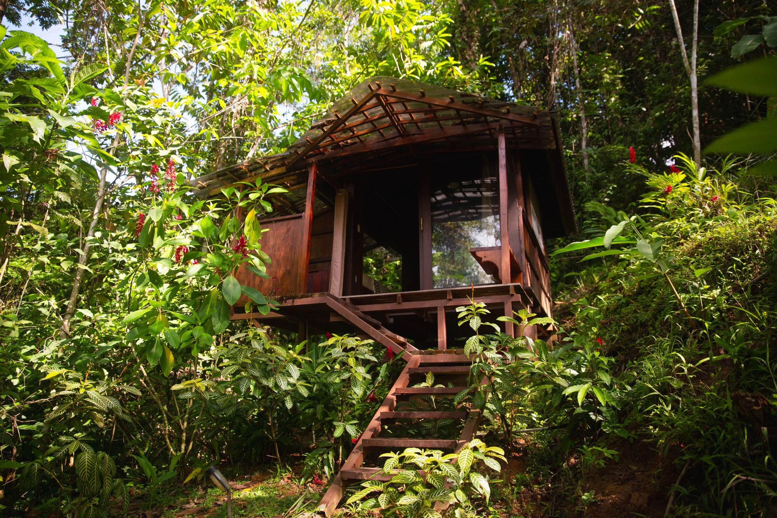Jungle Cabins | Shared