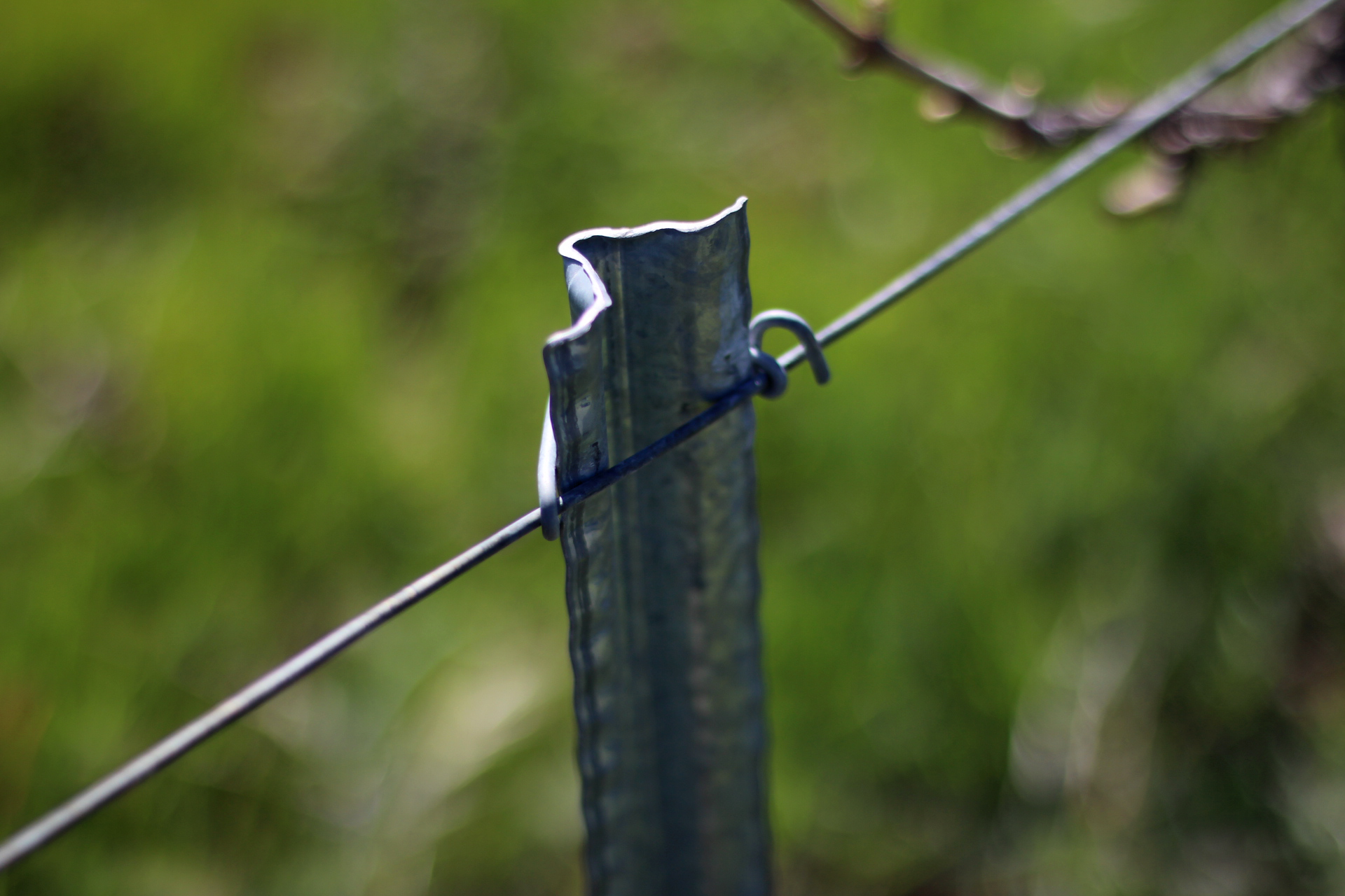 2.71 galvanized training stake