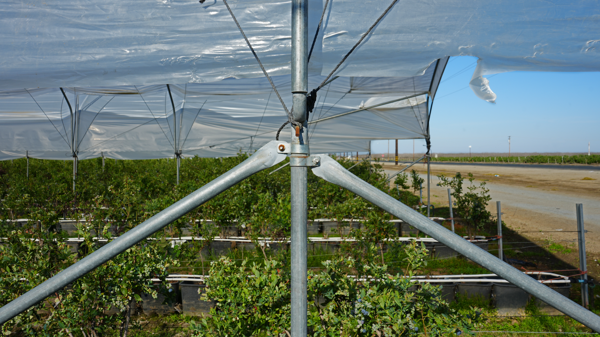 DSC03999 (Large).png