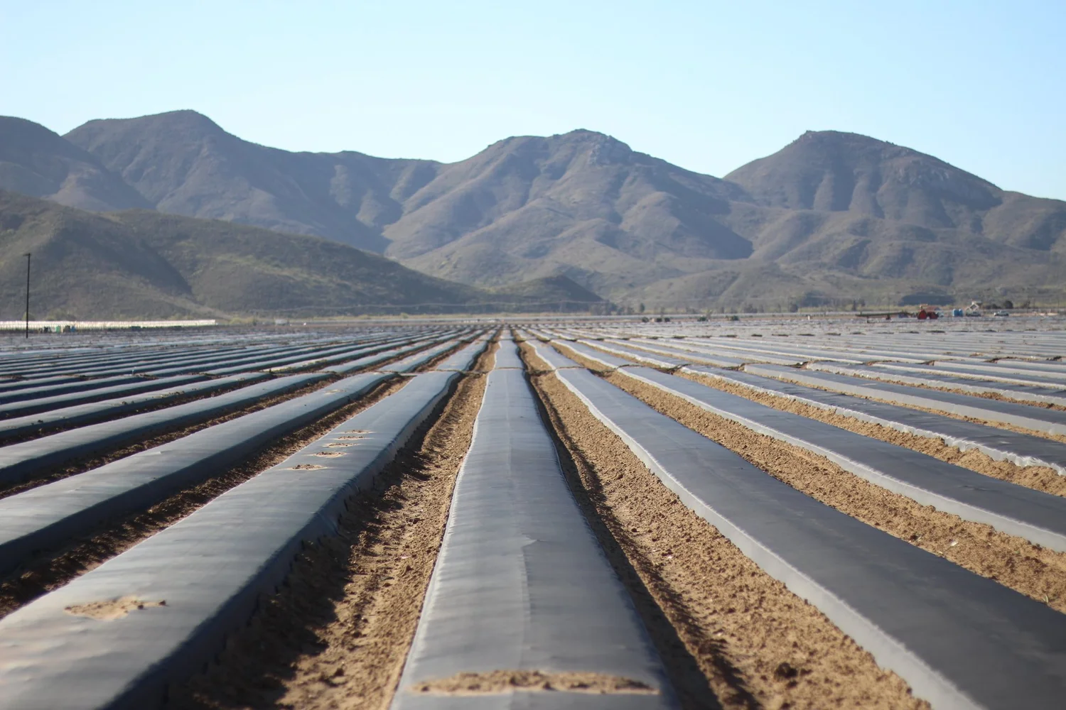 Agricultural Fabrics | Protect Your Crops — Jim's Supply Co.