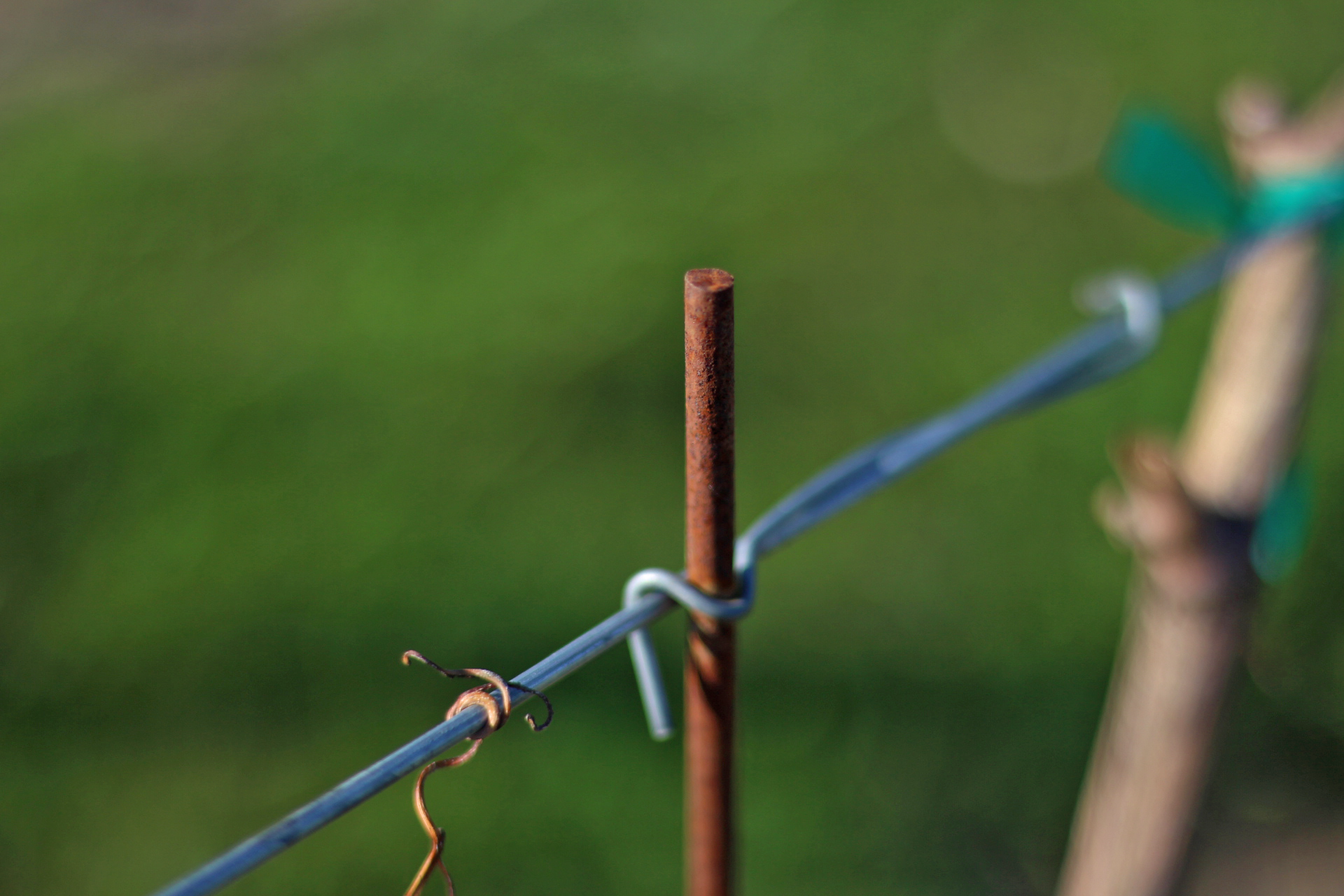pencil rod training stake