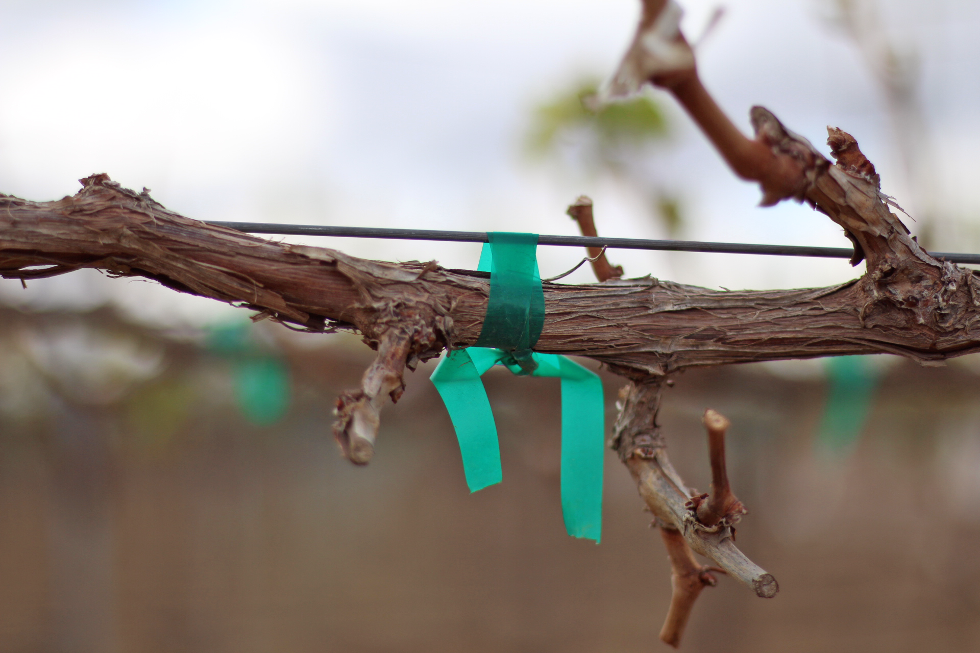 tie tape