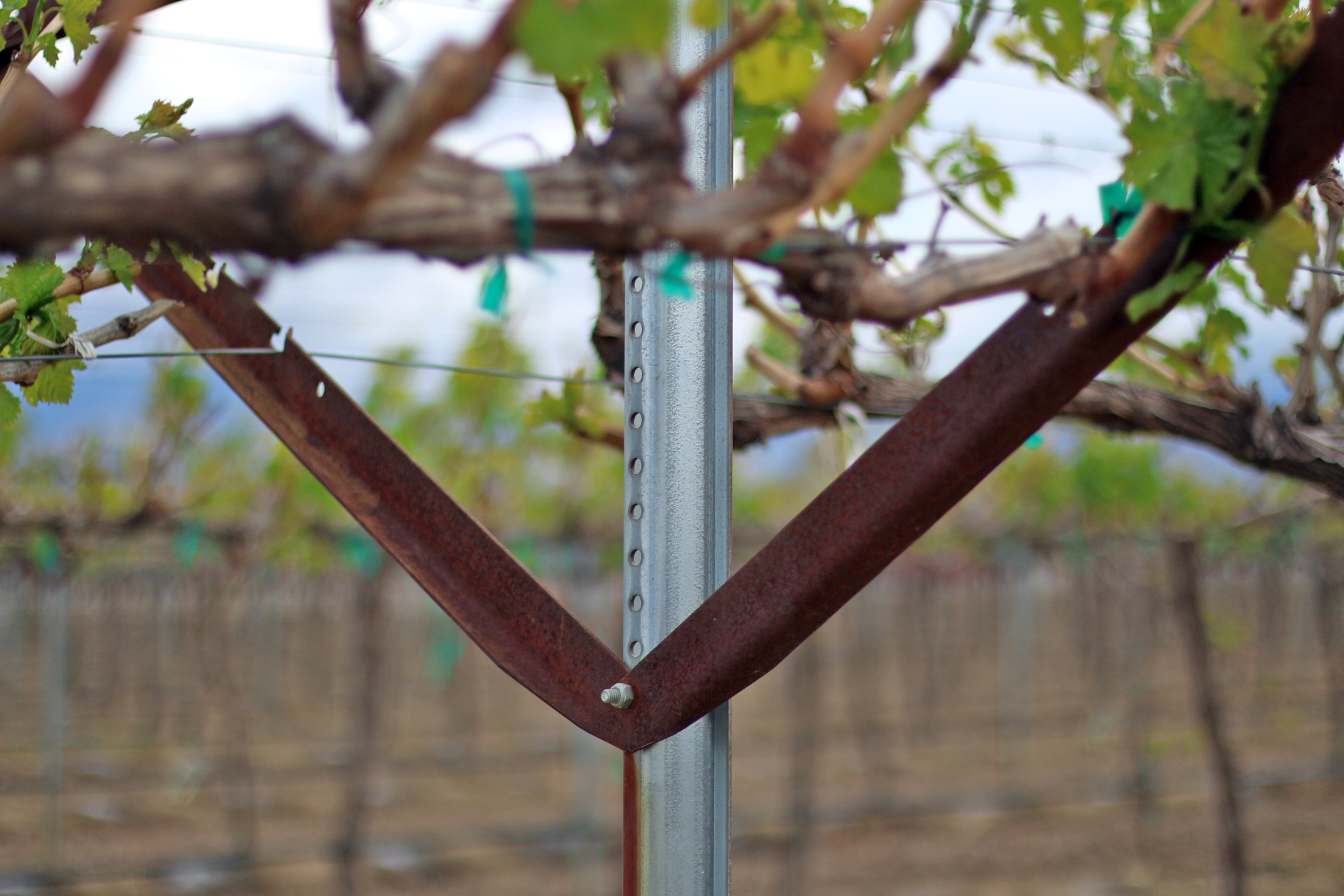 cross arms for vineyards