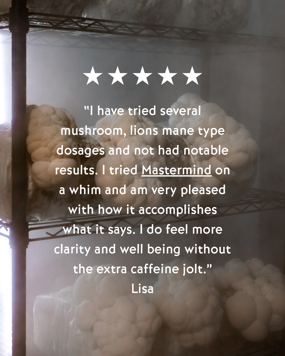 Mastermind-Review-Lion'sMane.png