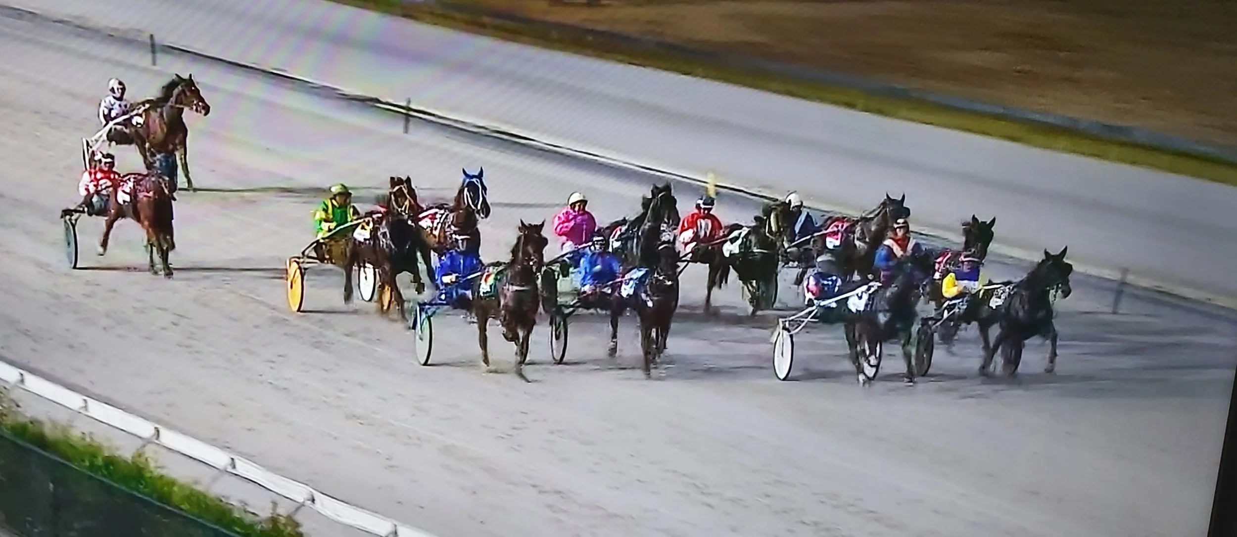 Geelong Harness Racing Club