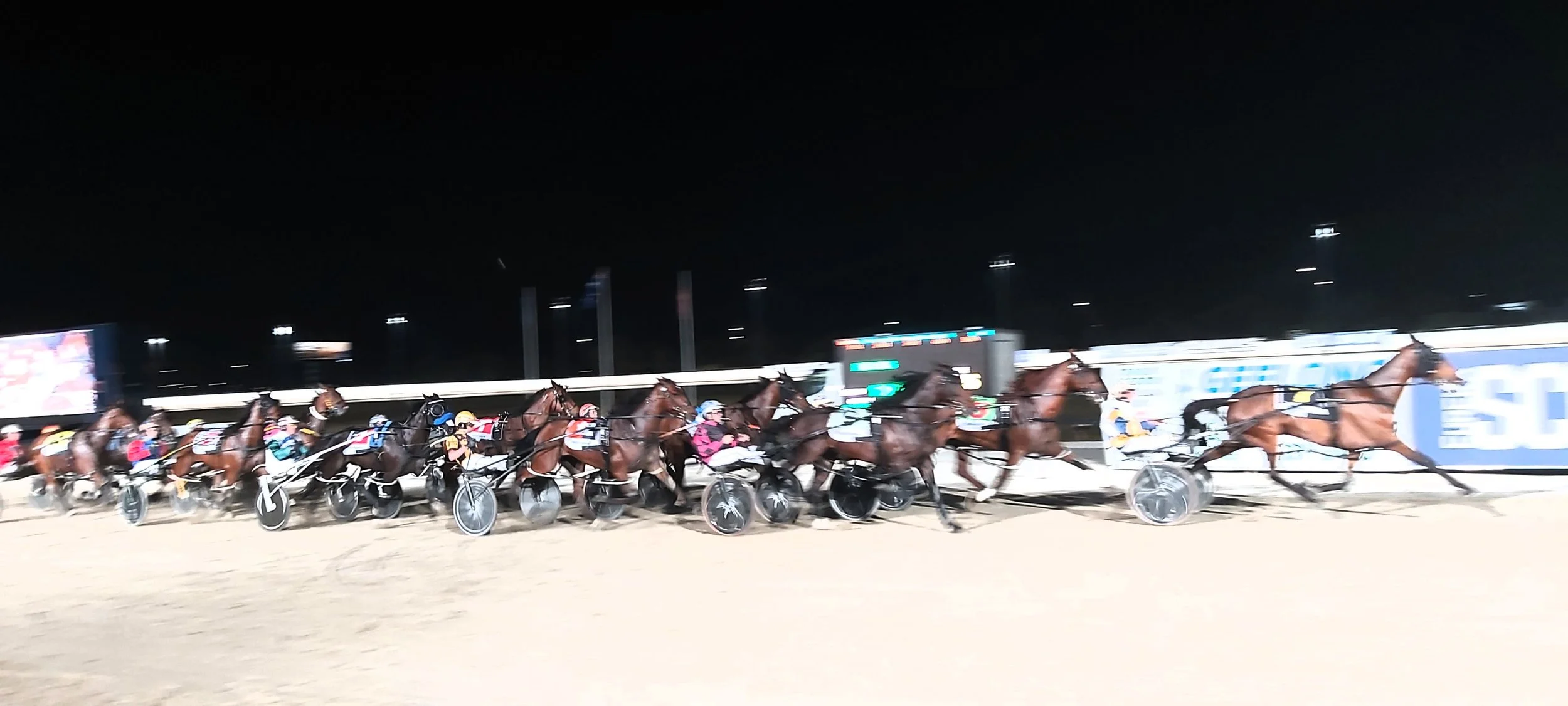 Membership — Geelong Harness Racing Club