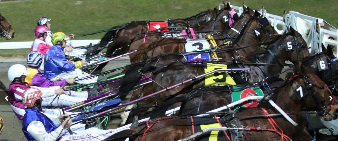 Blog 1 — Geelong Harness Racing Club