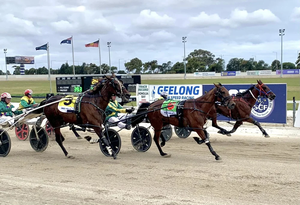 What's On — Geelong Harness Racing Club