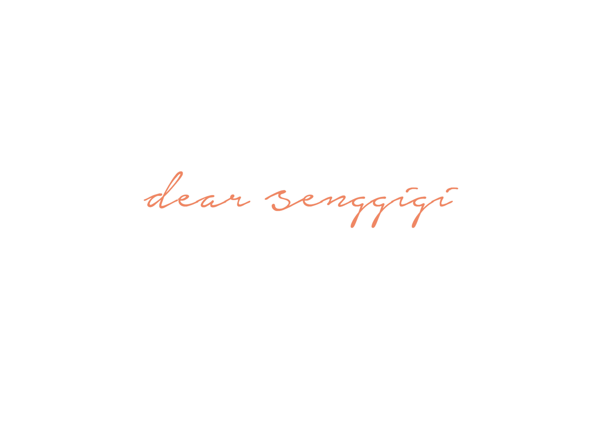 DEAR SENGGIGI.png