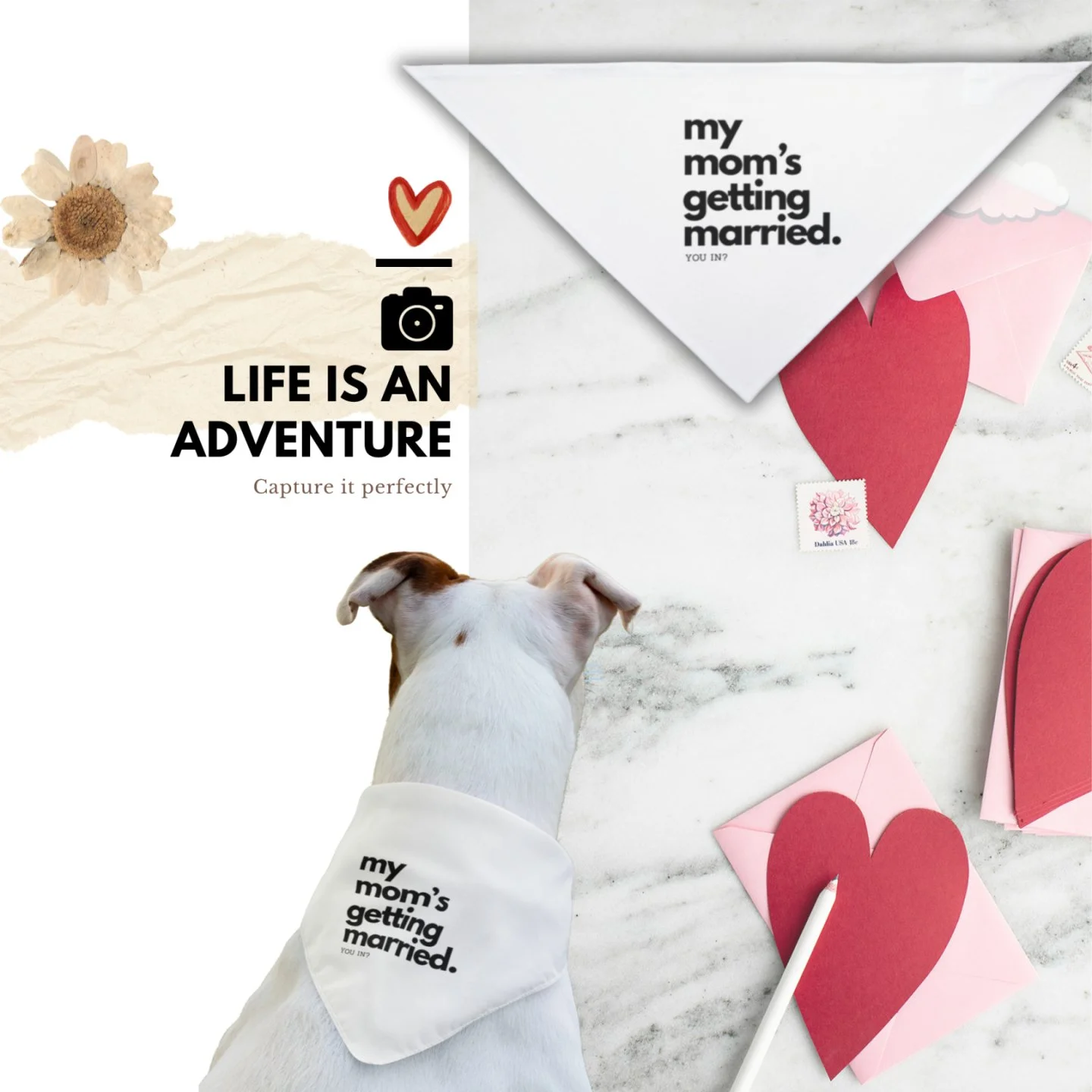 Be my bridesmaid. Signed, sealed, delivered by the dog.